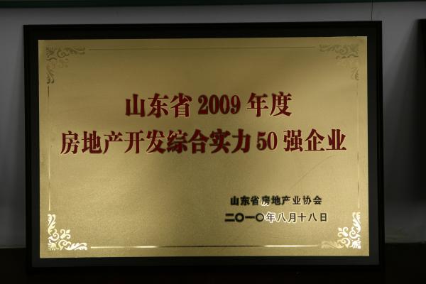 2009年山東省房地產(chǎn)開發(fā)綜合實(shí)力50強(qiáng)企業(yè)