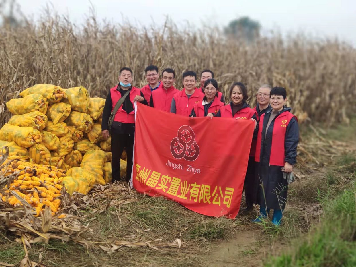 晶實置業(yè)公司開展助農(nóng)搶收志愿服務活動